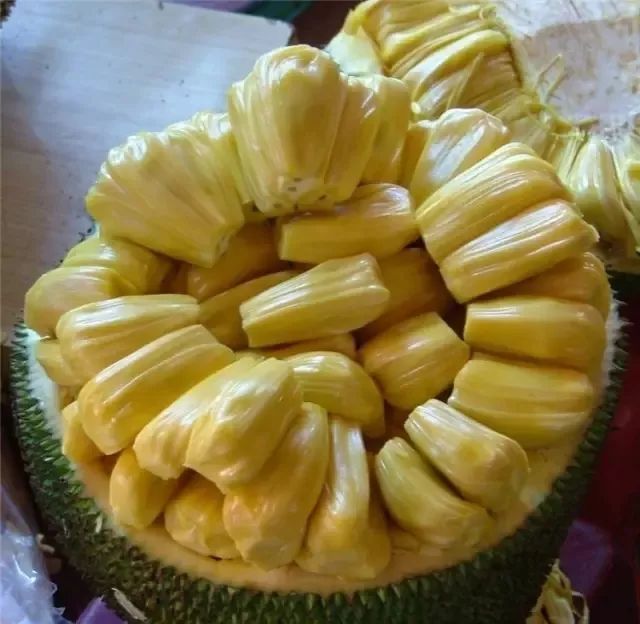 千博士驱魔研究所