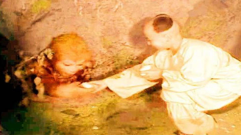 午夜凶铃3:贞相大白